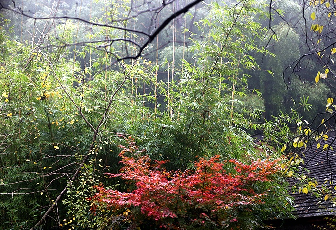 浸淫在碧水温汤，用大自然的纯美置换自己的身心 - 曹作兰 - 边行走，边艺术