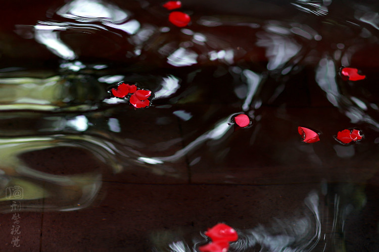 【江苏溧阳】邂逅在天目湖御水温泉 （原创组图） - 刑警视觉 - 刑警视觉*原创摄影